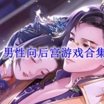 男性向后宫游戏合集