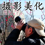 摄影美化软件合集