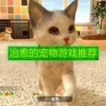 治愈的宠物游戏推荐
