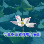 专业抠图软件哪个好用