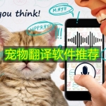 宠物翻译软件推荐