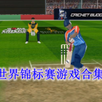 锦标赛游戏专题