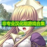 非专业汉化组游戏合集