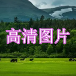 高清图片软件下载合集