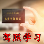 驾照学习软件合集