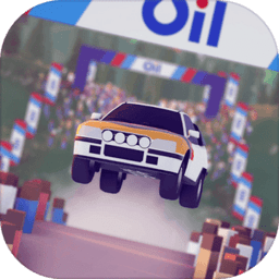 拉力赛的艺术steam移植安卓手机版 拉力赛的艺术steam移植安卓手机版