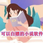可以白嫖的小说软件推荐