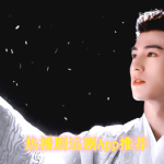 热播剧追剧软件哪个好