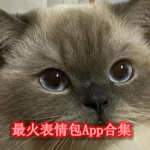 最火表情包软件有哪些