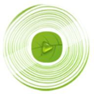 年轮影视手机版