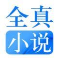 全真小说