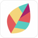 飞火壁纸正版下载