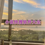 小说快搜软件有哪些