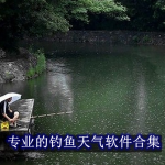 专业的钓鱼天气软件有哪些
