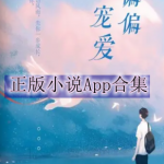 正版小说软件大全