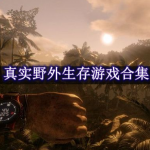 真实野外生存游戏合集
