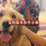 宠物服务软件哪个好