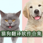 猫狗翻译软件哪个好用