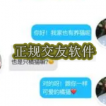 正规交友软件有哪些