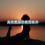 高效燃脂的教程软件合集