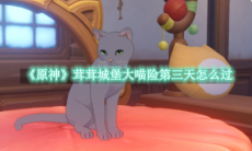 《原神》攻略——茸茸城堡大喵险第三天怎么过