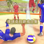 排球竞技游戏合集