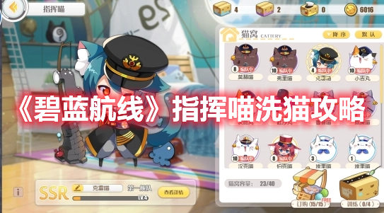 《碧蓝航线》指挥喵洗猫攻略