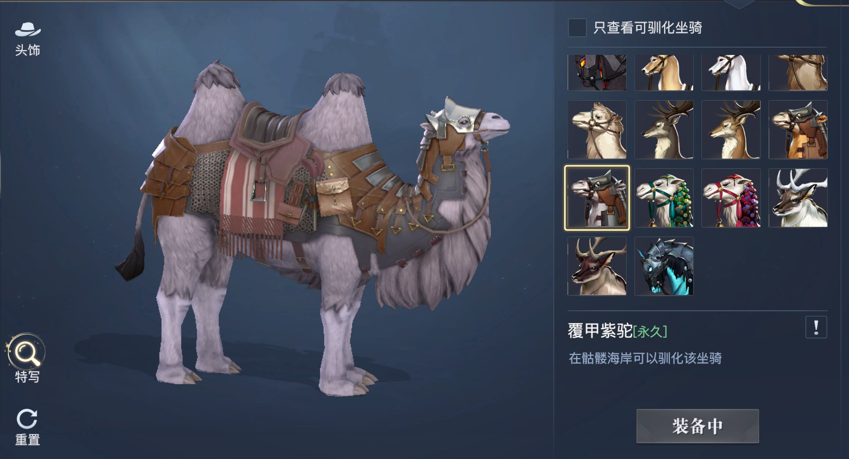 《黎明之海》稀有坐骑获取方法