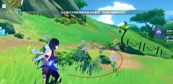 《原神》观察须弥蔷薇寻找隐藏的歌曲任务如何完成