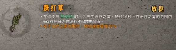 《暖雪》跌打草怎么搭配