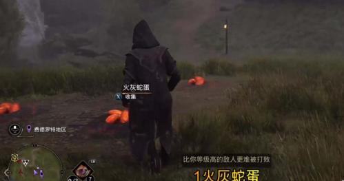 《霍格沃茨遗产》火灰蛇蛋如何获取