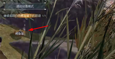 《黎明觉醒》白鳄女王位置教程
