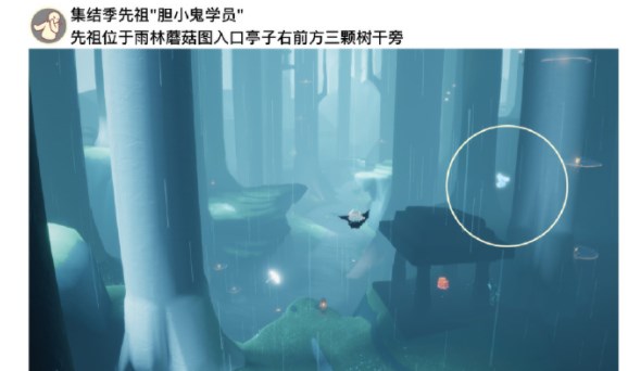《光遇》2023年7月3日每日任务攻略介绍