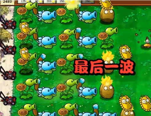 《植物大战僵尸杂交版》冒险第一关如何过关