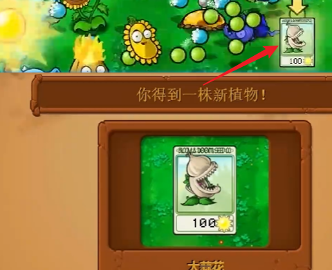 《植物大战僵尸杂交版》冒险第一关如何过关