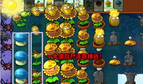 《植物大战僵尸杂交版》冒险第六关如何过关