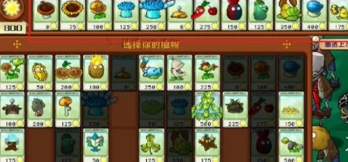 《植物大战僵尸杂交版》冒险第31关怎么过
