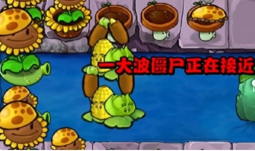 《植物大战僵尸杂交版》冒险第31关怎么过