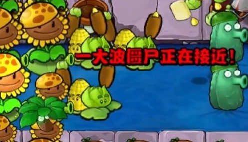 《植物大战僵尸杂交版》冒险第31关怎么过