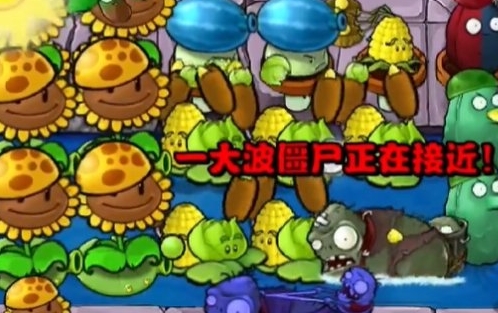 《植物大战僵尸杂交版》冒险第31关怎么过
