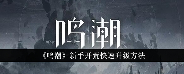 《鸣潮》新手开荒快速升级技巧一览
