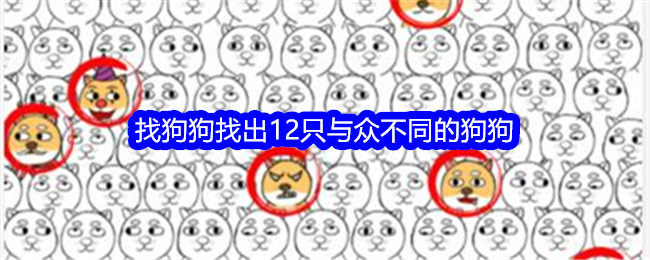 就我眼神好找狗狗找出12只与众不同的狗狗如何通关 就我眼神好找狗狗找出12只与众不同的狗狗通关攻略一览